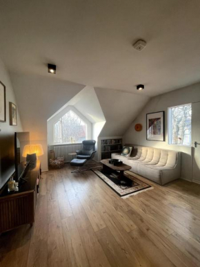 Bright and cozy apartment